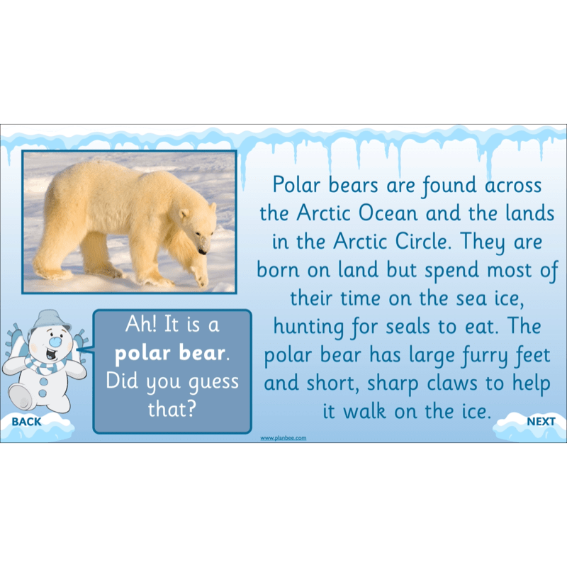 PlanBee Let's go to the Arctic KS1 Geography Lessons and Resources