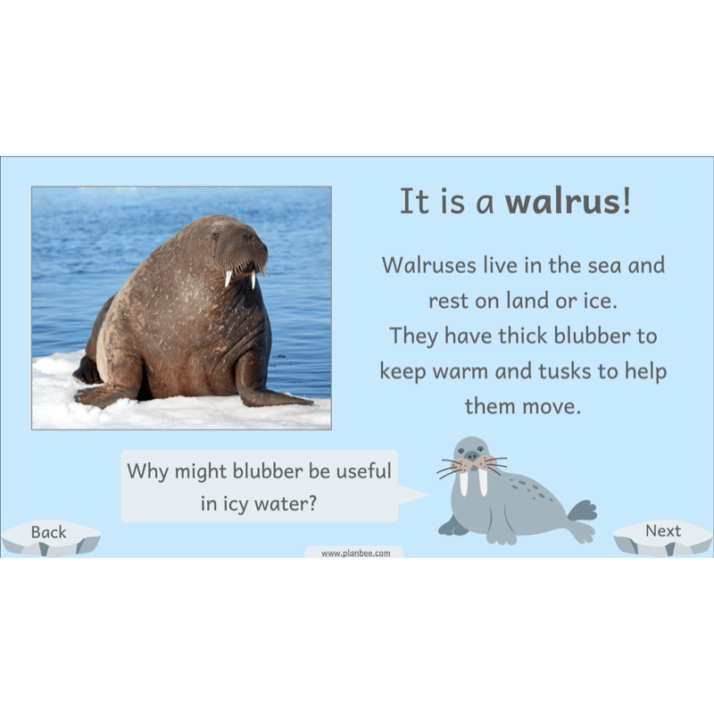 PlanBee Let's go to the Arctic KS1 Geography Lesson Pack