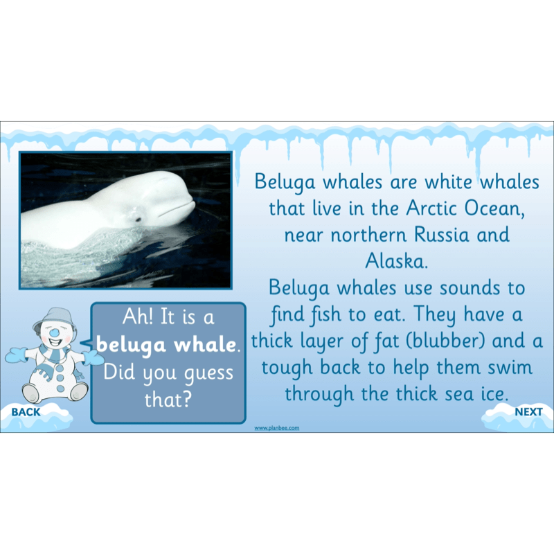 PlanBee Let's go to the Arctic KS1 Geography Lessons and Resources