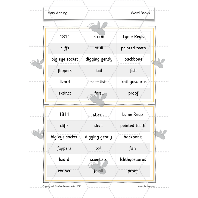 PlanBee Mary Anning KS1 | History Lesson Pack 