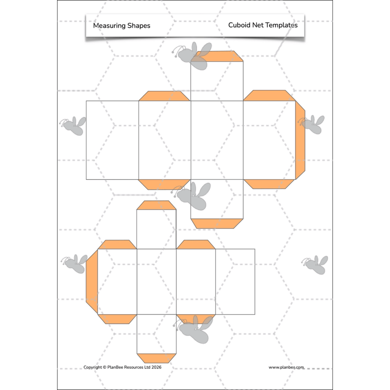 PlanBee Measuring Shapes Year 5 Maths Planning by PlanBee