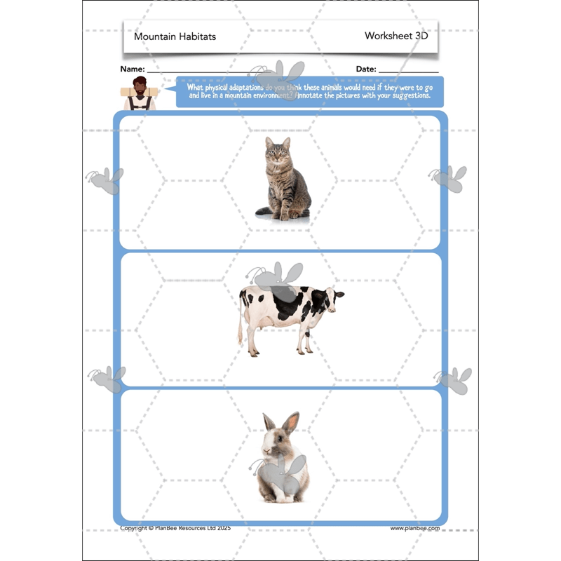 PlanBee Mountain Science KS2 | Food Chains, Adaptation & Life Cycles