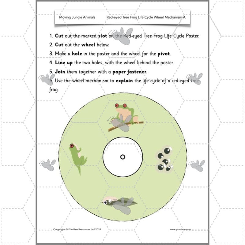 PlanBee Jungle-themed Sliders and Levers KS1 Lesson Pack | PlanBee