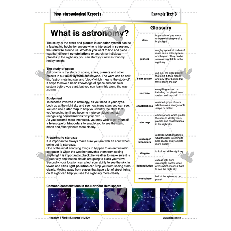 PlanBee Non-chronological Reports Year 6 English Planning