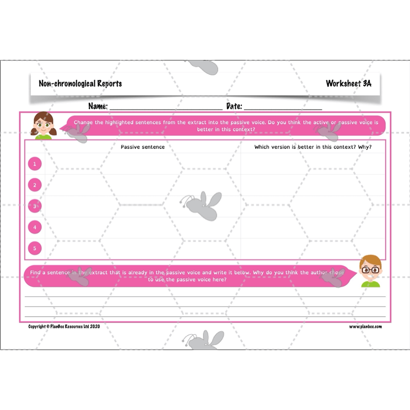 PlanBee Non-chronological Reports Year 6 English Planning