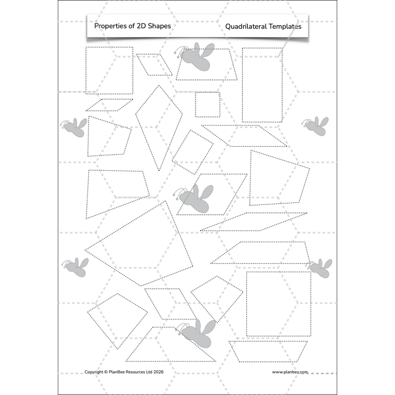 PlanBee Year 4 Properties of 2D Shapes KS2 Maths by PlanBee