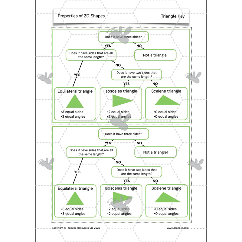 PlanBee Year 4 Properties of 2D Shapes KS2 Maths by PlanBee
