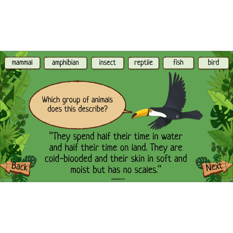 PlanBee Rainforest Habitats KS2 Science Lesson Pack