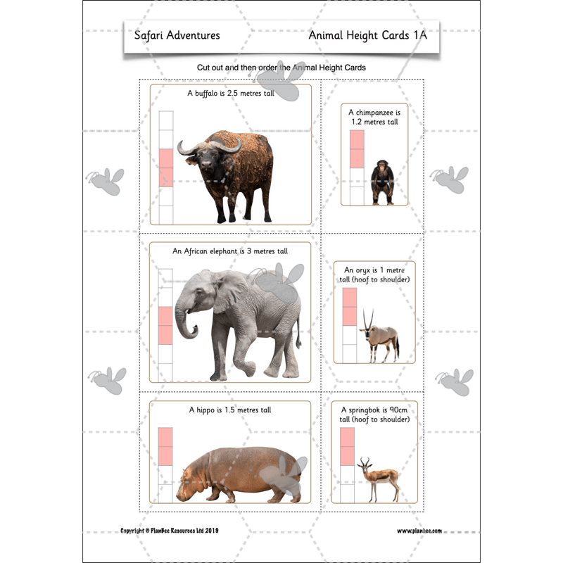 PlanBee Safari Adventures KS1 | English Lesson Pack