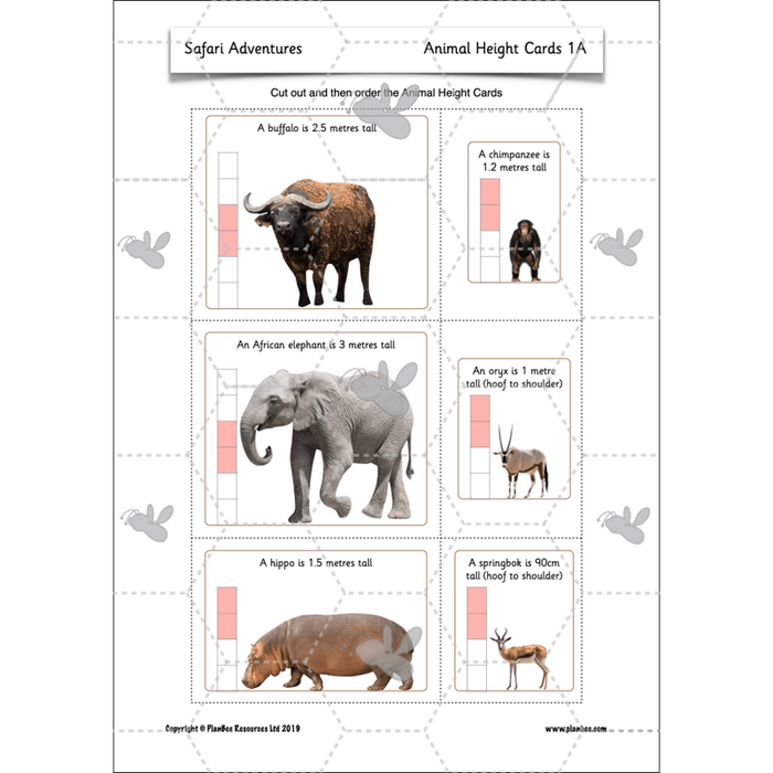 PlanBee Safari Adventures KS1 | English Lesson Pack