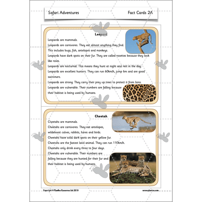 PlanBee Safari Adventures KS1 | English Lesson Pack