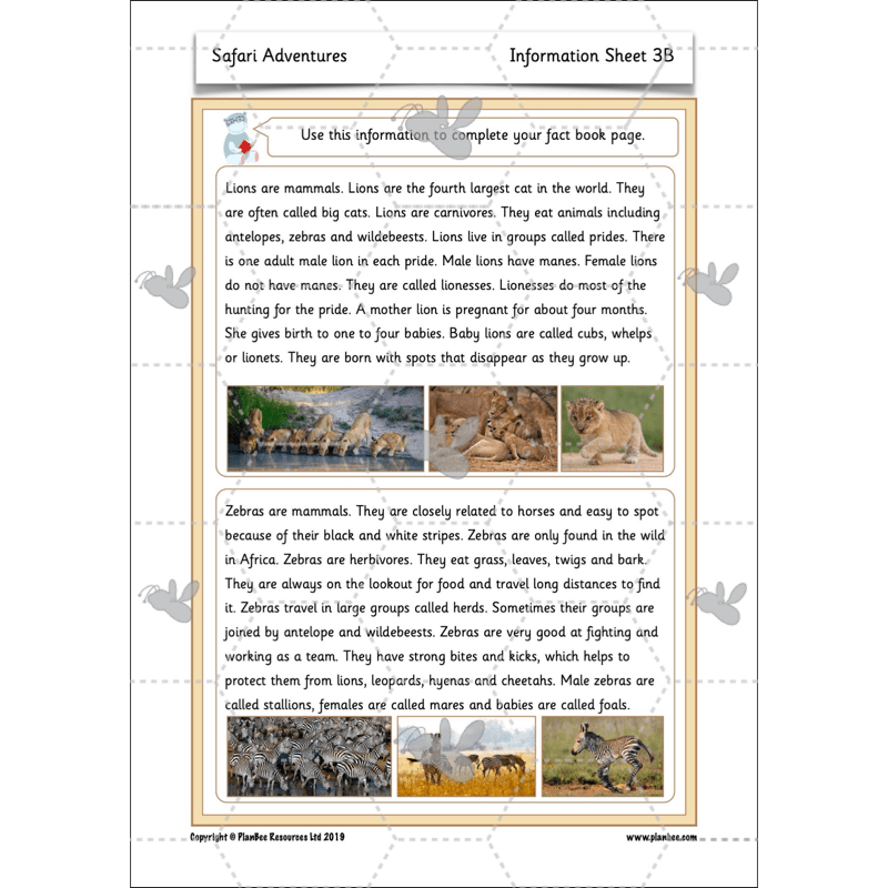 PlanBee Safari Adventures KS1 | English Lesson Pack