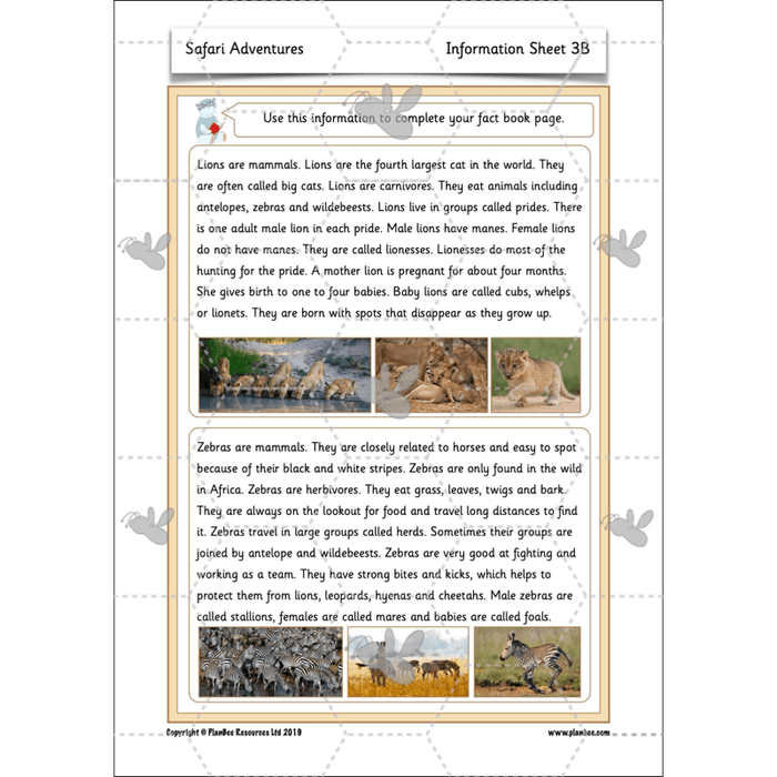 PlanBee Safari Adventures KS1 | English Lesson Pack