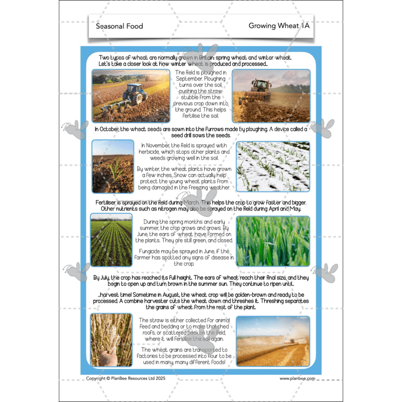 PlanBee Seasonal Food Seasonality KS2 cooking lessons by PlanBee