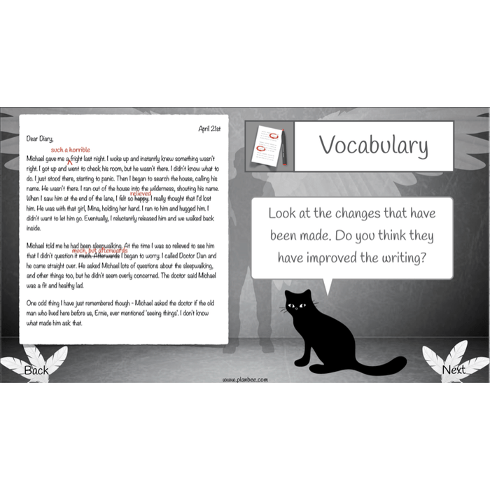 PlanBee Skellig Diary Entries KS2 | Year 6 English Lesson Pack