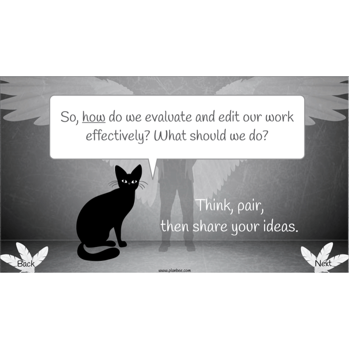 PlanBee Skellig: Narrative