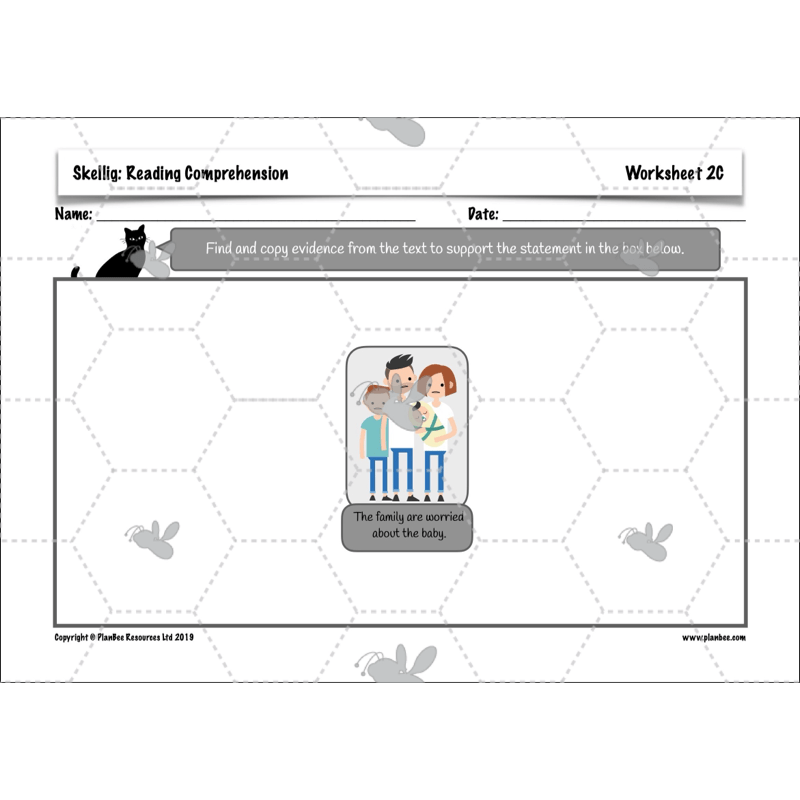 PlanBee Skellig: Reading Comprehension