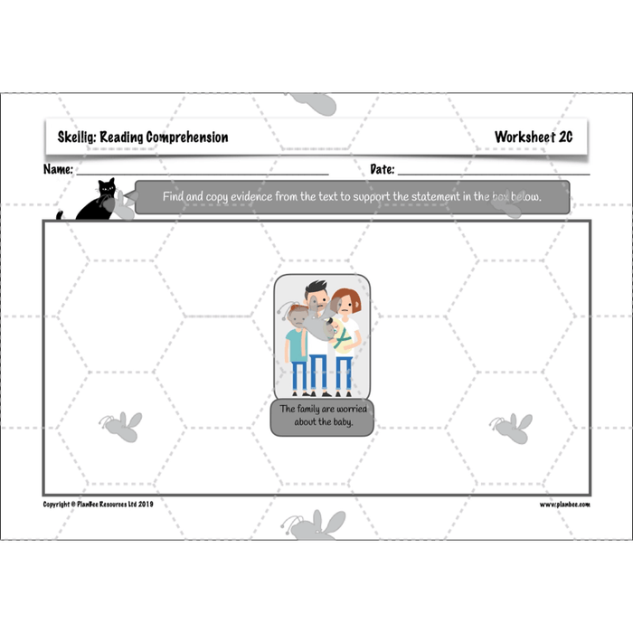 PlanBee Skellig: Reading Comprehension