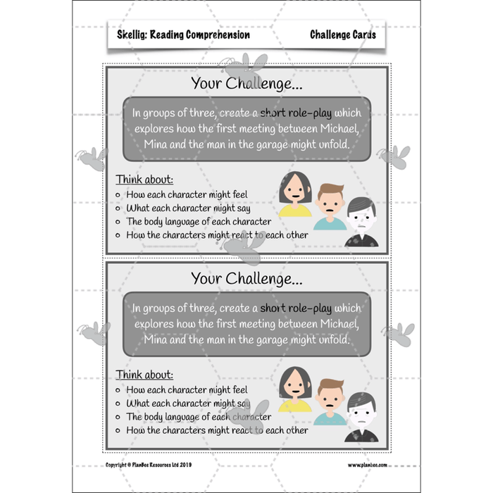PlanBee Skellig: Reading Comprehension