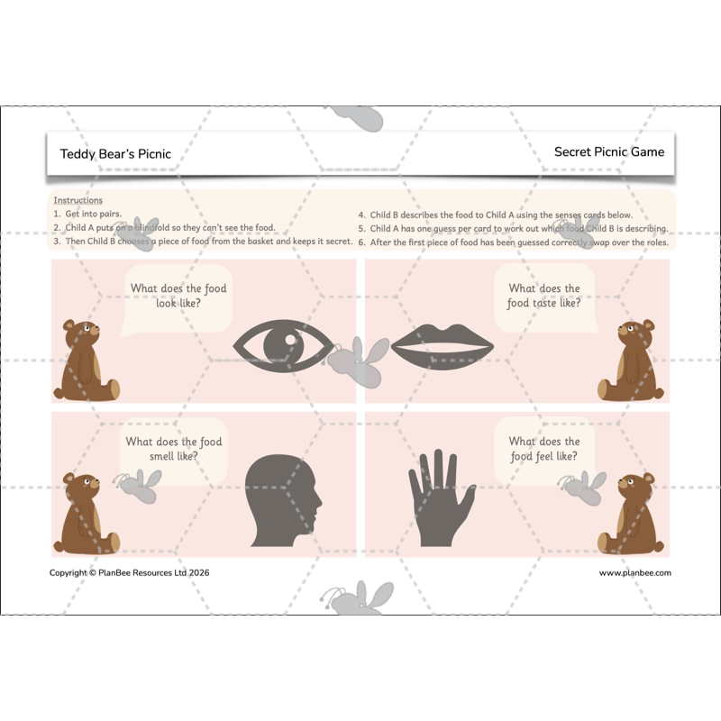 PlanBee Teddy Bears Picnic Ideas and DT Lessons by PlanBee