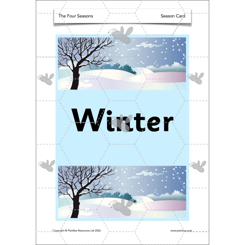 PlanBee The Four Seasons KS1 Geography Lesson Pack