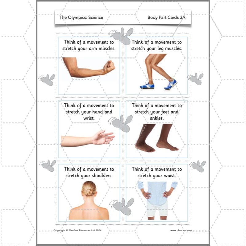 PlanBee Olympic Games KS1 Lesson Pack by PlanBee