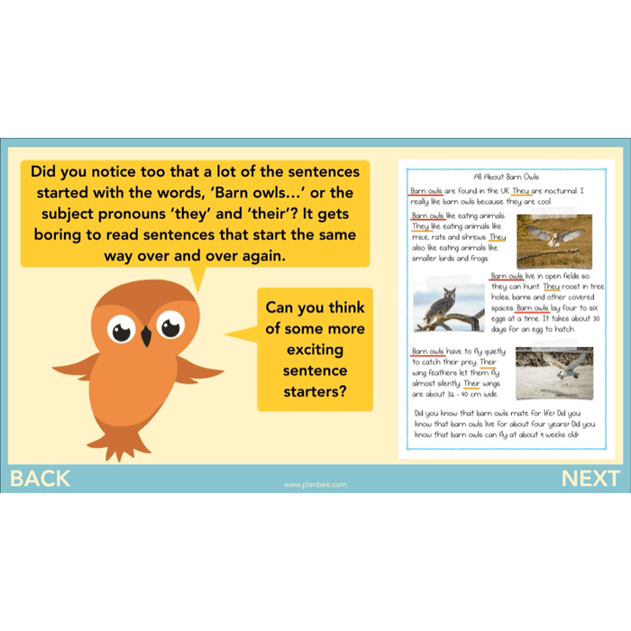 PlanBee The Owl who was Afraid of the Dark | KS2 Non-chronological Reports