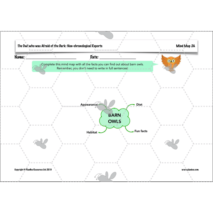 PlanBee The Owl who was Afraid of the Dark | KS2 Non-chronological Reports