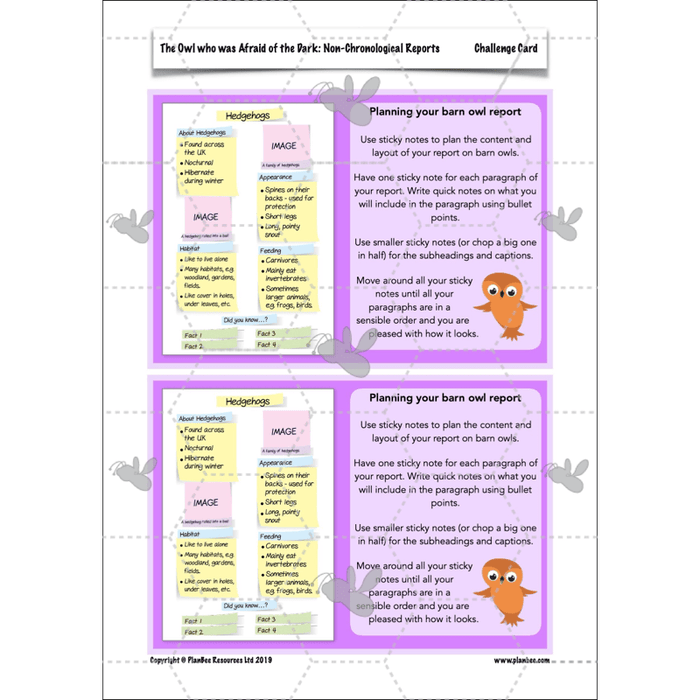 PlanBee The Owl who was Afraid of the Dark | KS2 Non-chronological Reports