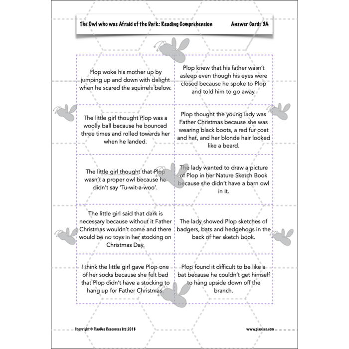 PlanBee The Owl who was Afraid of the Dark | KS2 Comprehension