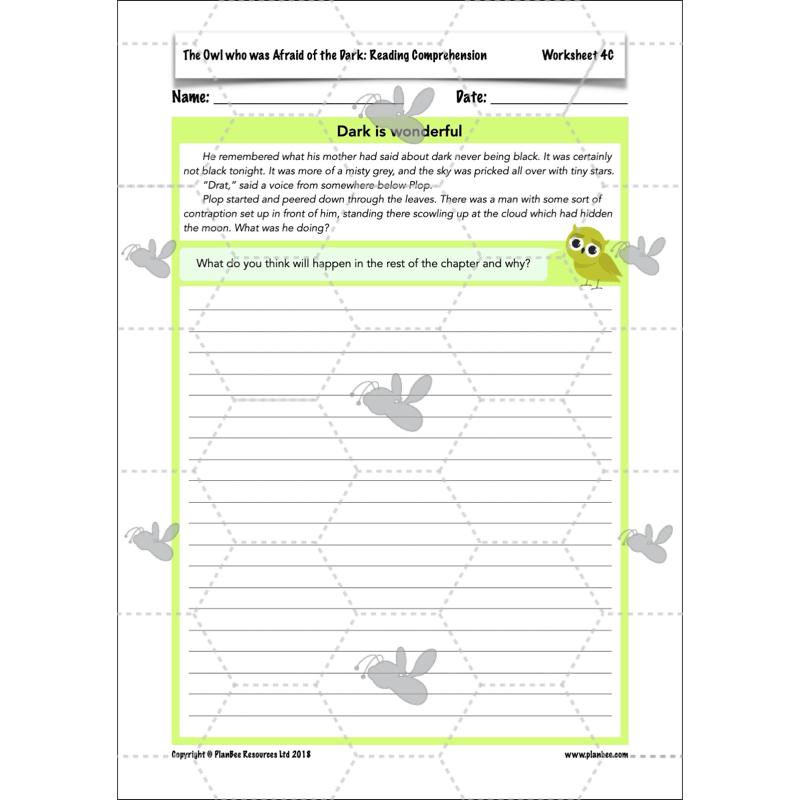 The Owl who was Afraid of the Dark: Reading Comprehension