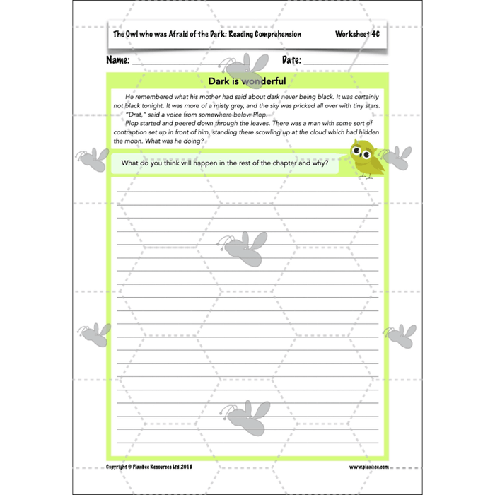 The Owl who was Afraid of the Dark: Reading Comprehension