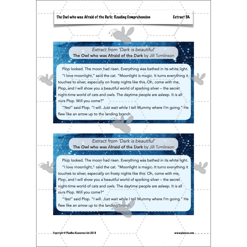 The Owl who was Afraid of the Dark: Reading Comprehension