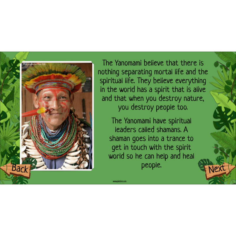 PlanBee The Rainforest Biome KS2 | Geography Lesson Pack