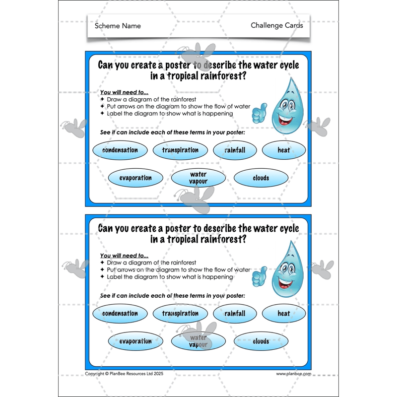 PlanBee The Rainforest Biome KS2 | Geography Lesson Pack