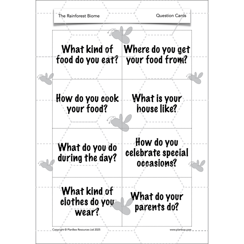 PlanBee The Rainforest Biome KS2 | Geography Lesson Pack