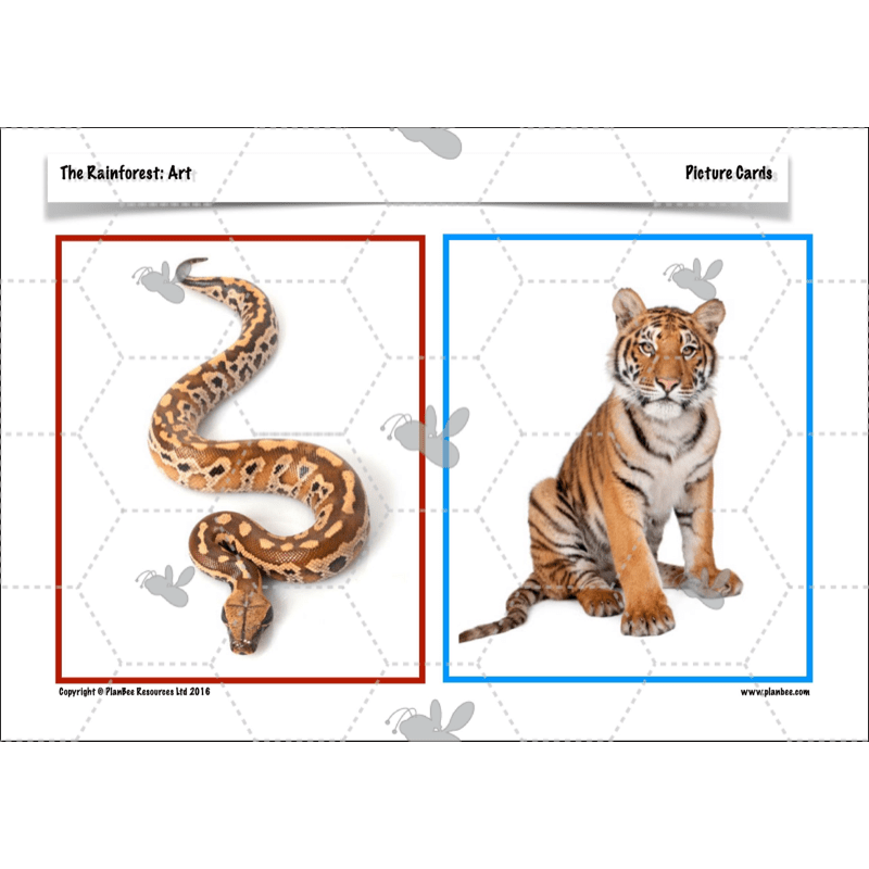 PlanBee The Rainforest Topic KS2 Enrichment Lesson Pack