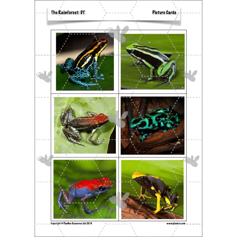 The Rainforest Topic Enrichment Pack