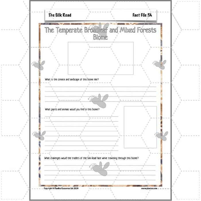 PlanBee The Silk Road KS2 Geography lessons | PlanBee