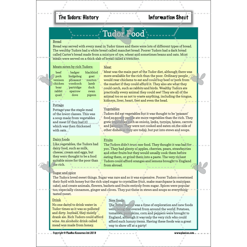 PlanBee The Tudors KS2 History Lessons and Resources