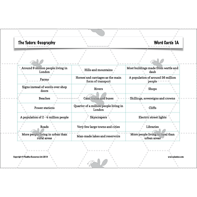 The Tudors Topic Enrichment Pack