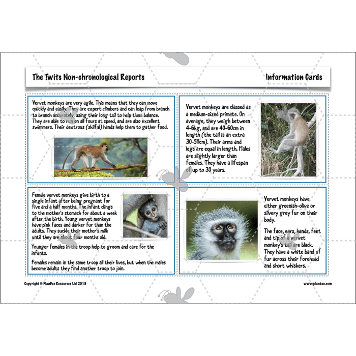 PlanBee The Twits: Non-chronological Reports KS2 | Y4 English Pack
