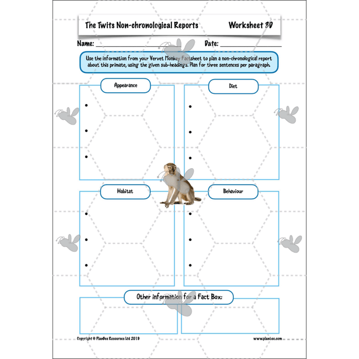 PlanBee The Twits: Non-chronological Reports KS2 | Y4 English Pack