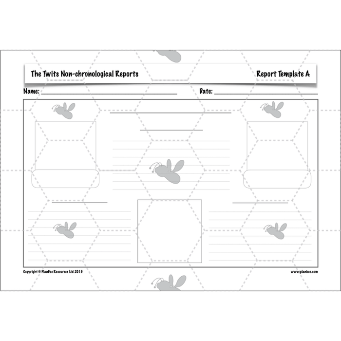 PlanBee The Twits: Non-chronological Reports KS2 | Y4 English Pack
