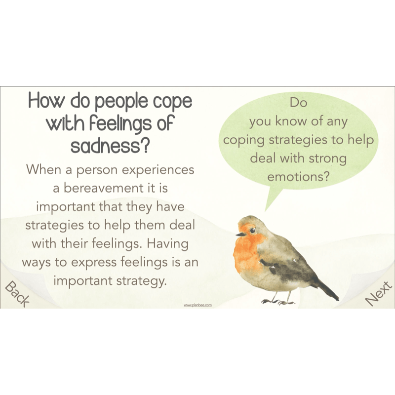 PlanBee What happens when we die? KS2 RE Lesson Plans