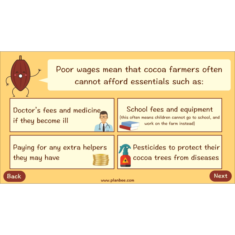 PlanBee Where does Chocolate come from? | KS2 Geography lessons