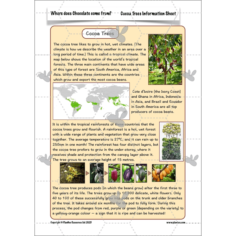 PlanBee Where does Chocolate come from? | KS2 Geography lessons