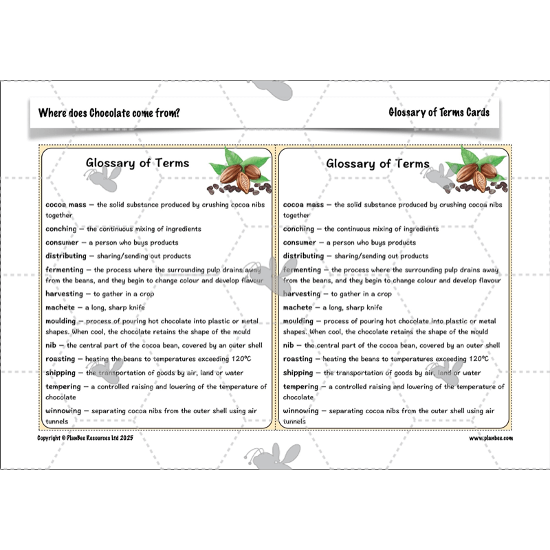 PlanBee Where does Chocolate come from? | KS2 Geography lessons