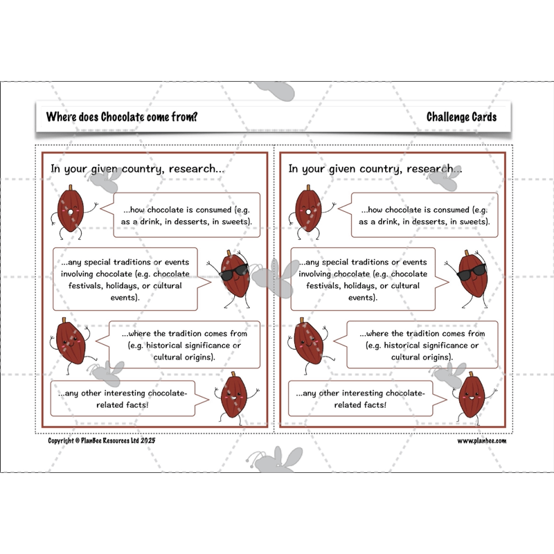 Where does Chocolate come from?