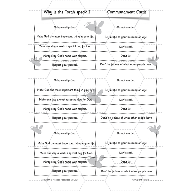 PlanBee Why is the Torah Special? The Torah KS1 RE Lessons
